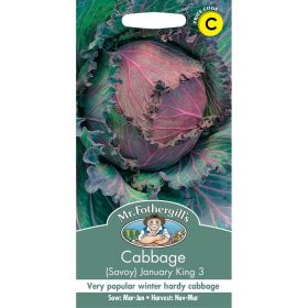 Cabbage (Savoy) January King 3 Seeds